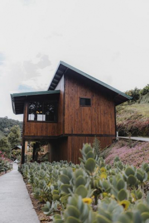 Lauraceas Lodge